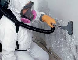 Best Industrial Mold Remediation  in Hawthorne, FL